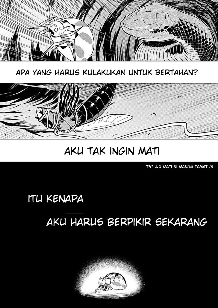 Kumo desu ga, Nani Ka? Chapter 08